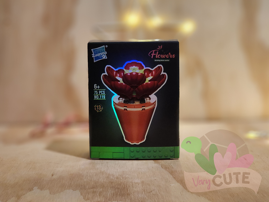 Set Bloques de Construcción en Caja - Suculentas 7