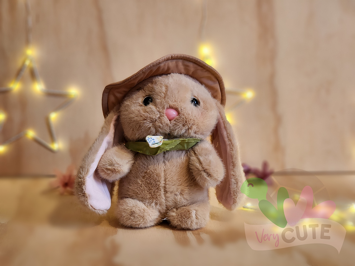 Peluche Conejito con Gorrito 1