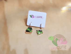 Aros Asimetricos - Gatos y Suculentas