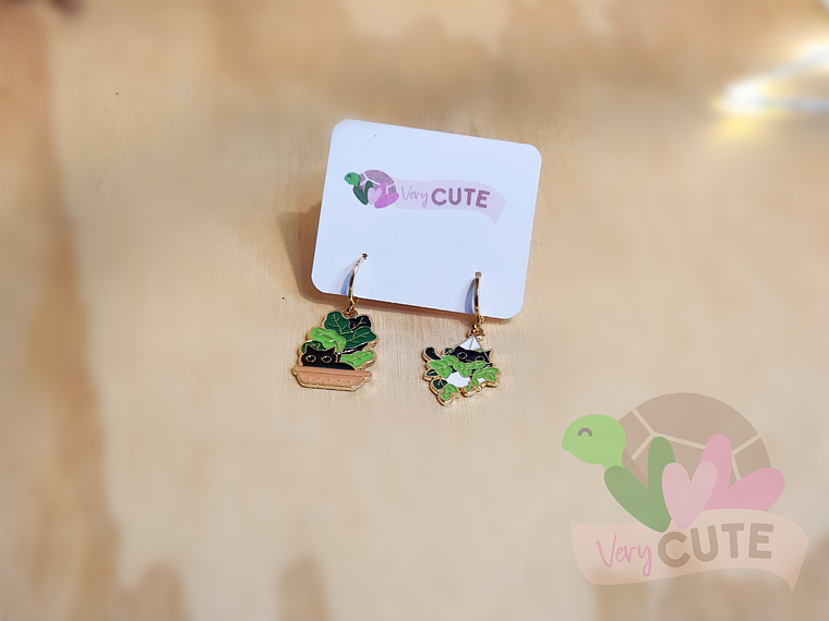 Aros Asimetricos - Gatos y Suculentas 1