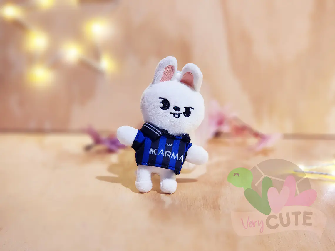 Llavero Peluche Skzoo Stray Kids - Karma 5