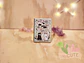 Mini Libreta Ollio Cat – Gatitos Kawaii - Miniatura 1