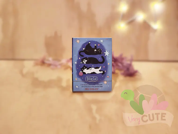 Mini Libreta Ollio Cat – Gatitos Kawaii 4