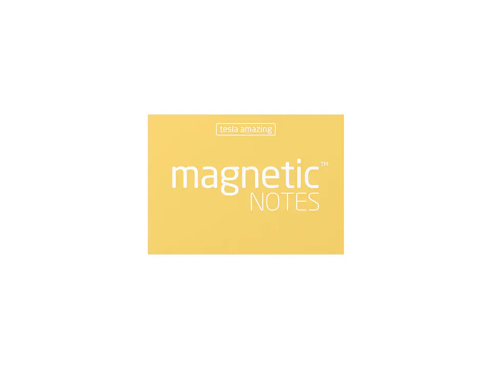 Notas magnéticas S magnetic notes 5