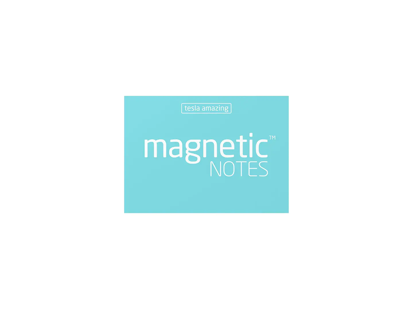 Notas magnéticas S magnetic notes 6