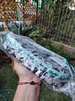 Maxi estuche Mooving 100 años Disney - Miniatura 2