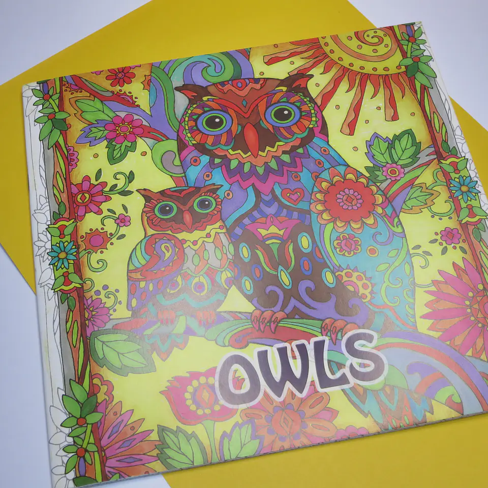 Libros para colorear 11