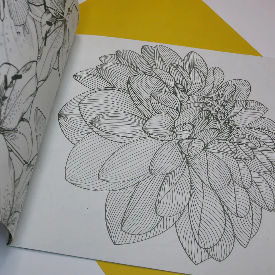 Libros para colorear 14