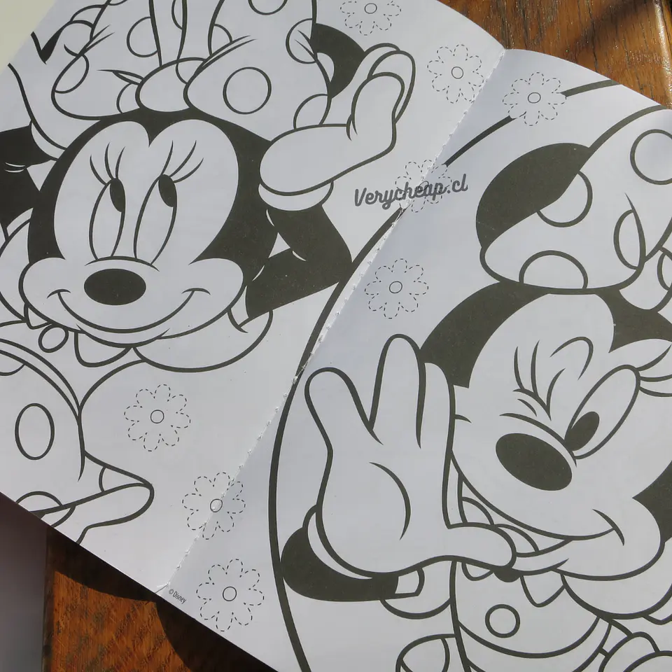 Libro para colorear Minnie 2
