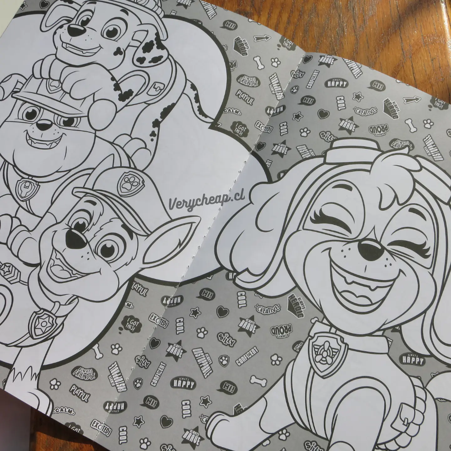 Libro para colorear paw patrol 2