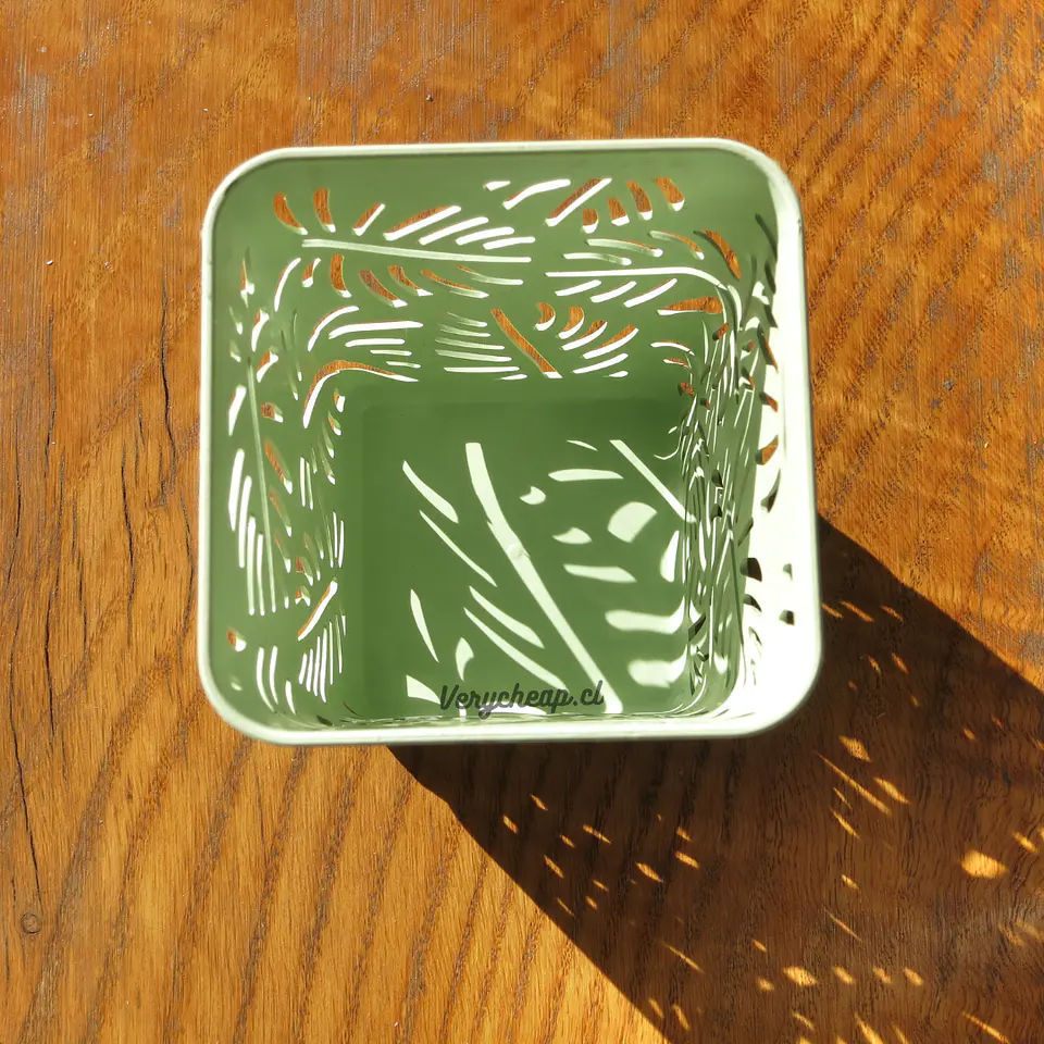 Organizador porta lápices hojas 3