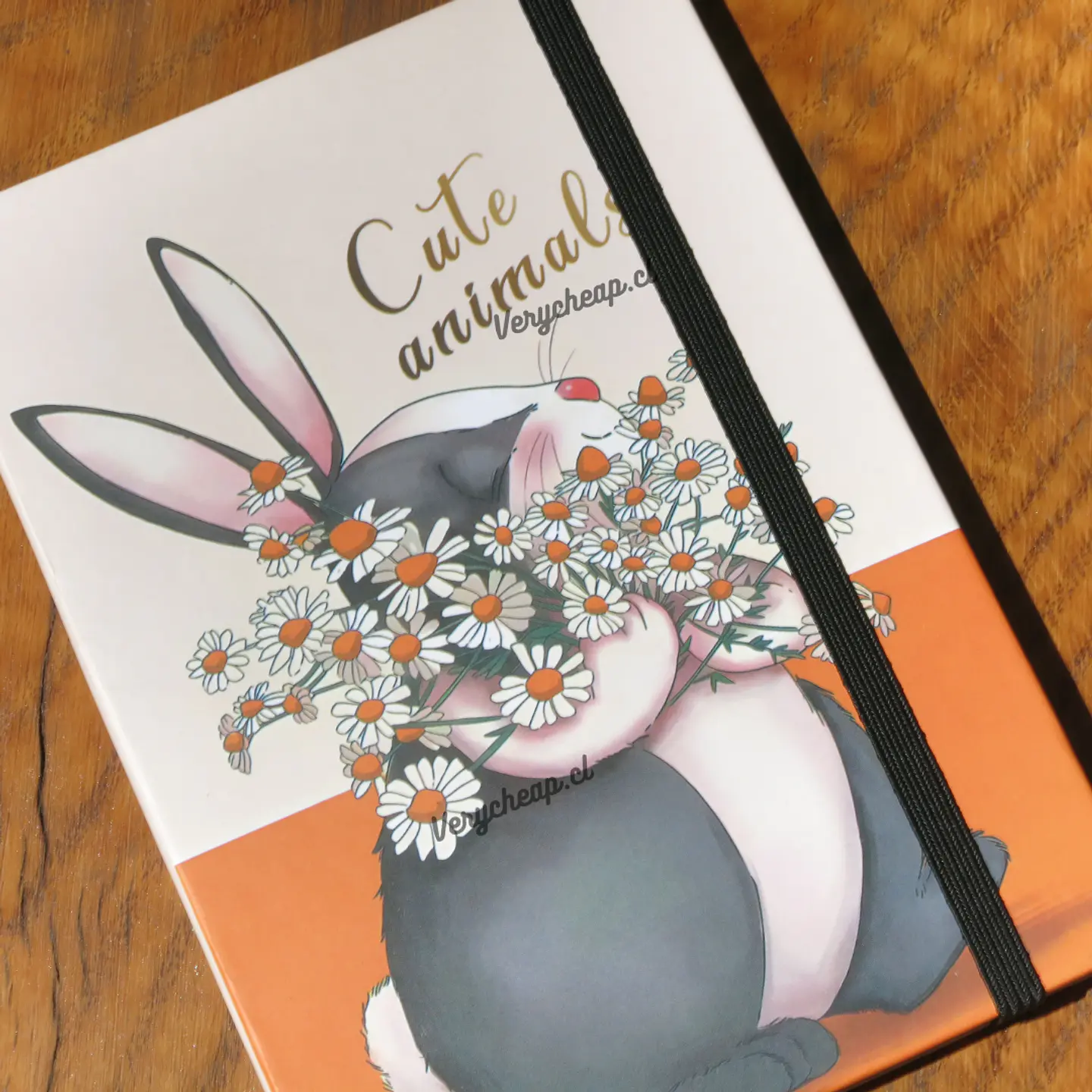 Libreta gato 5