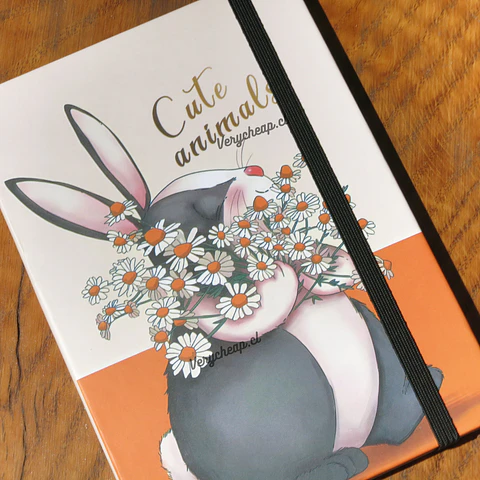 Libreta colores