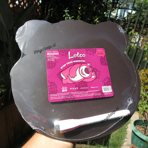 Pizarra magnetica Lotso Mooving