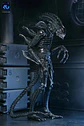 [PREVENTA] ULTIMATE WARRIOR XENOMORPH (BLACK) - 40TH ANNIVERSARY - ALIEN - Miniatura 7