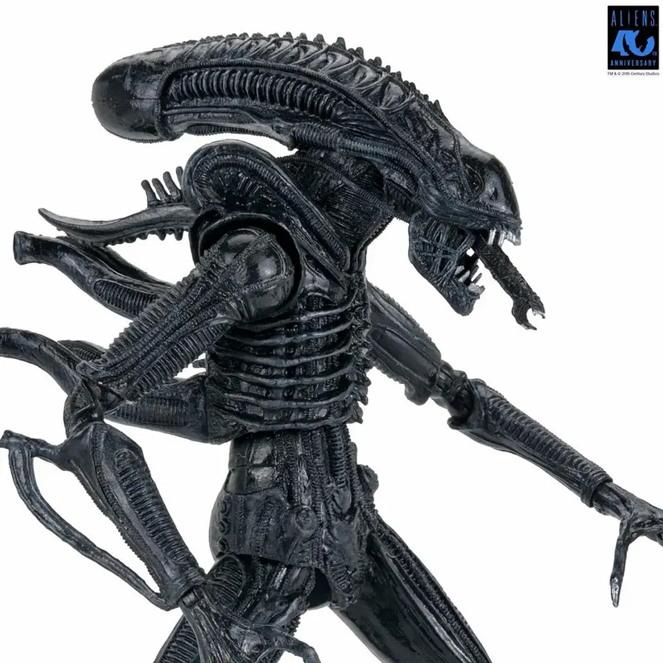 [PREVENTA] ULTIMATE WARRIOR XENOMORPH (BLACK) - 40TH ANNIVERSARY - ALIEN 5