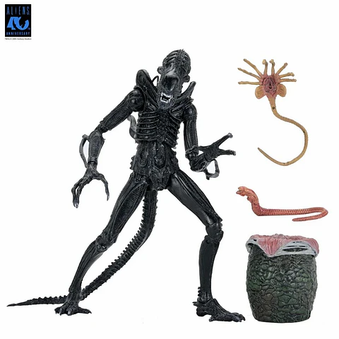 [PREVENTA] ULTIMATE WARRIOR XENOMORPH (BLACK) - 40TH ANNIVERSARY - ALIEN