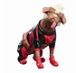 [PREVENTA] DOGPOOL AND DEADPOOL - DEADPOOL & WOLVERINE - MARVEL LEGENDS - Miniatura 3