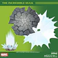 [PREVENTA] HULK (SILVER AGE EDITION) - ONE:12 - Miniatura 14