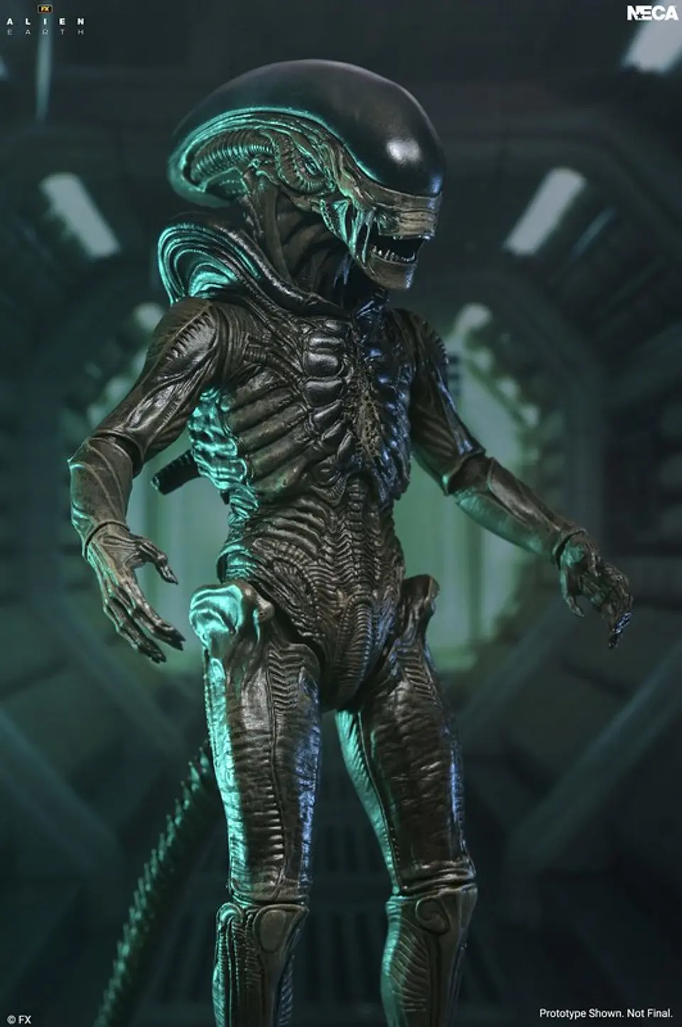 [PREVENTA] ULTIMATE XENOMORPH - ALIEN EARTH 2