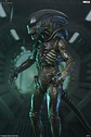 [PREVENTA] ULTIMATE XENOMORPH - ALIEN EARTH - Miniatura 3