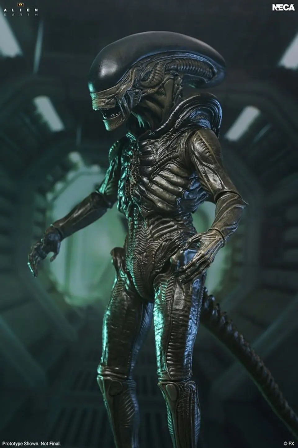 [PREVENTA] ULTIMATE XENOMORPH - ALIEN EARTH 3