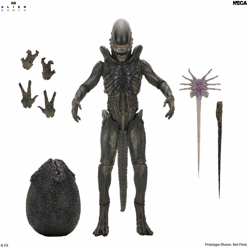 [PREVENTA] ULTIMATE XENOMORPH - ALIEN EARTH