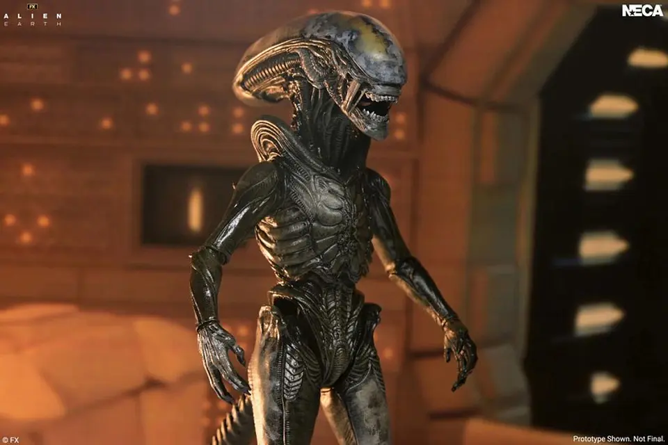 [PREVENTA] ULTIMATE WENDY'S XENOMORPH - ALIEN EARTH 2