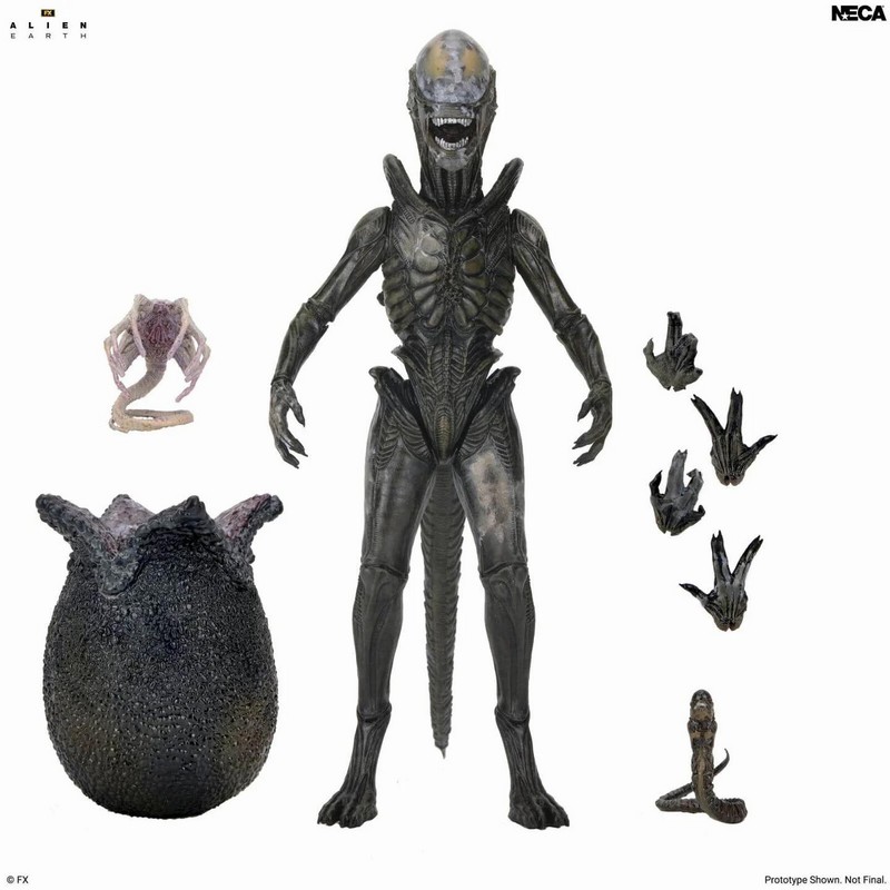 [PREVENTA] ULTIMATE WENDY'S XENOMORPH - ALIEN EARTH