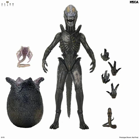 [PREVENTA] ULTIMATE WENDY'S XENOMORPH - ALIEN EARTH