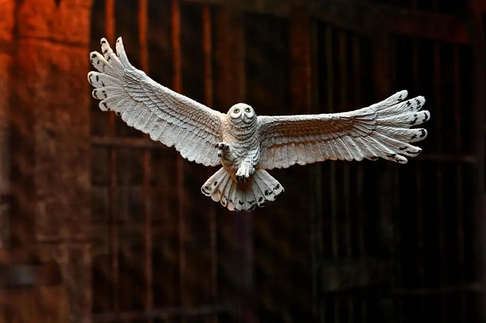 HARRY POTTER - LEGACY COLLECTION 5