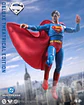 [PREVENTA] SUPERMAN 1978 - DC THEATRICAL DELUXE - DC MULTIVERSE - Miniatura 2