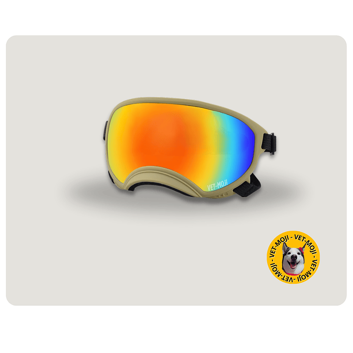Gafas protección UV400  6