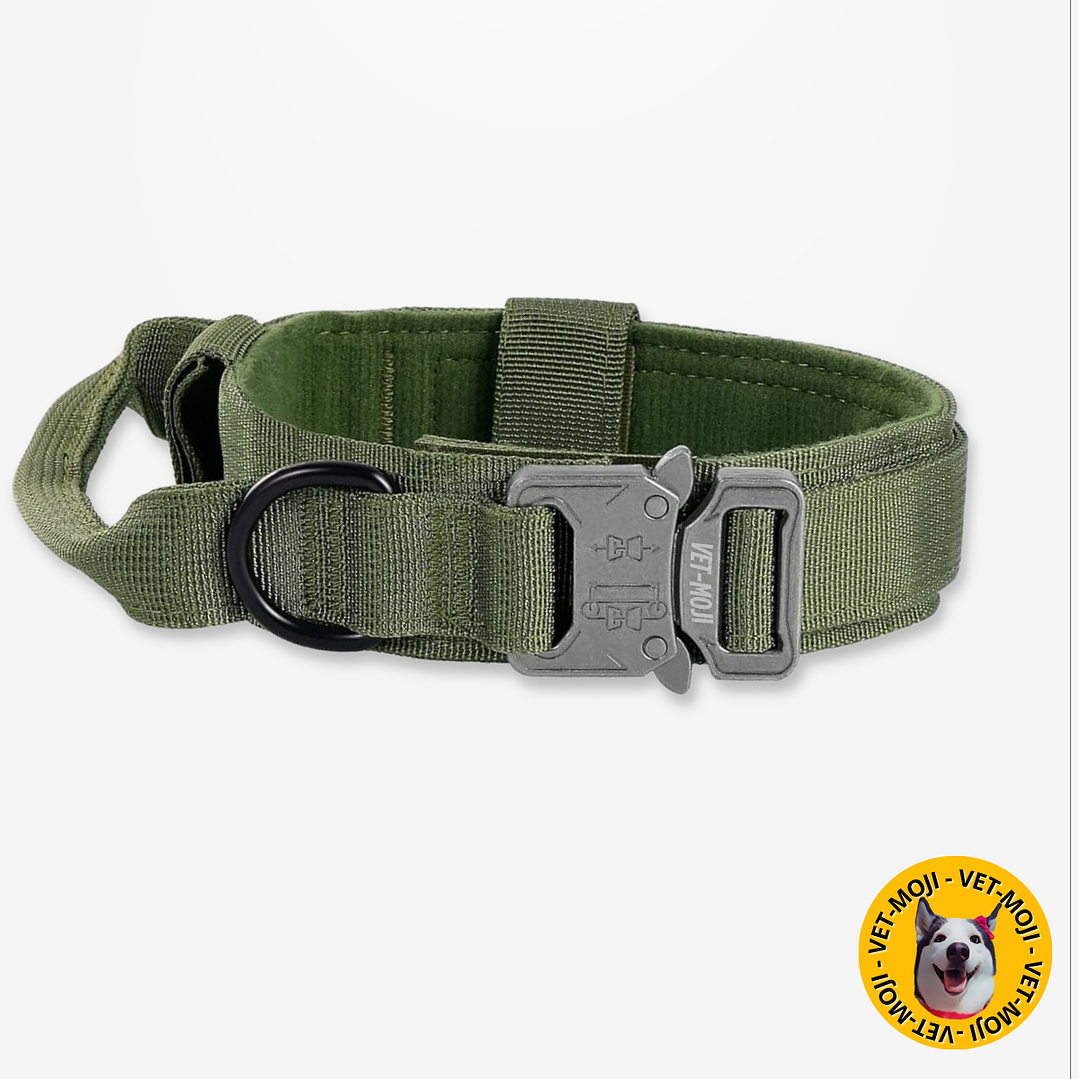 Collar táctico K9  5