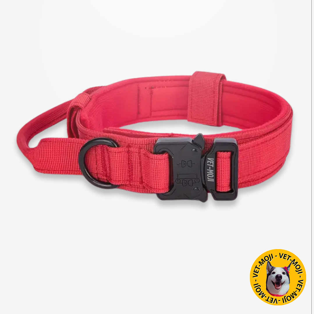 Collar táctico K9  6