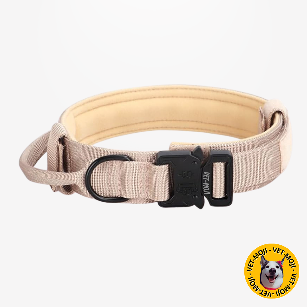 Collar táctico K9  14