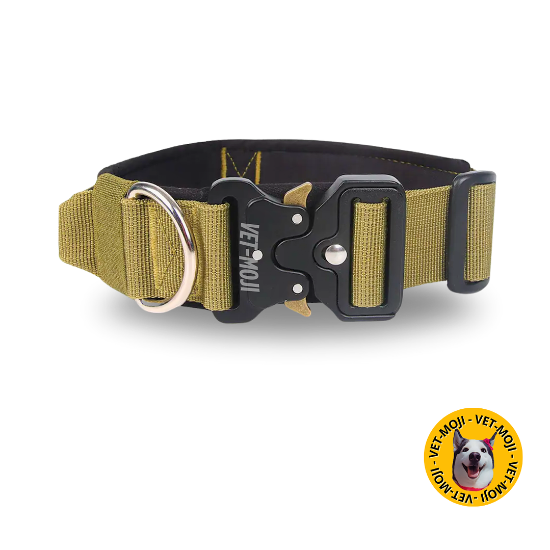 Collar táctico K9 Edicion LUXURY 5