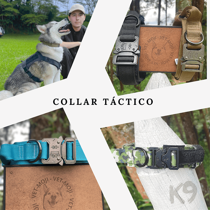 Collar táctico K9  1