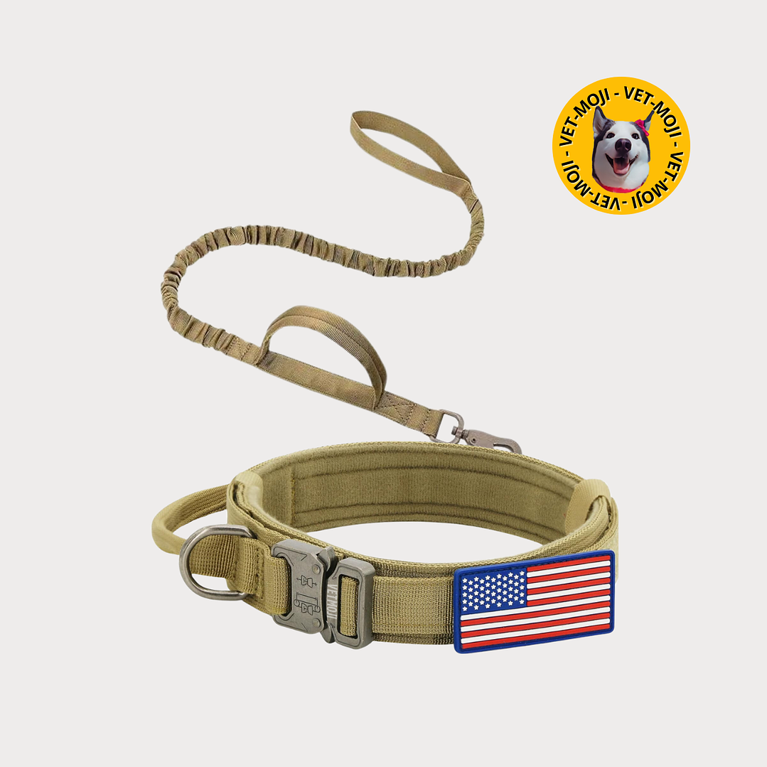 Combo collar + lazo K9 11