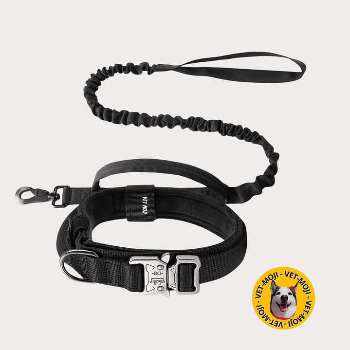 Combo collar + lazo K9 7