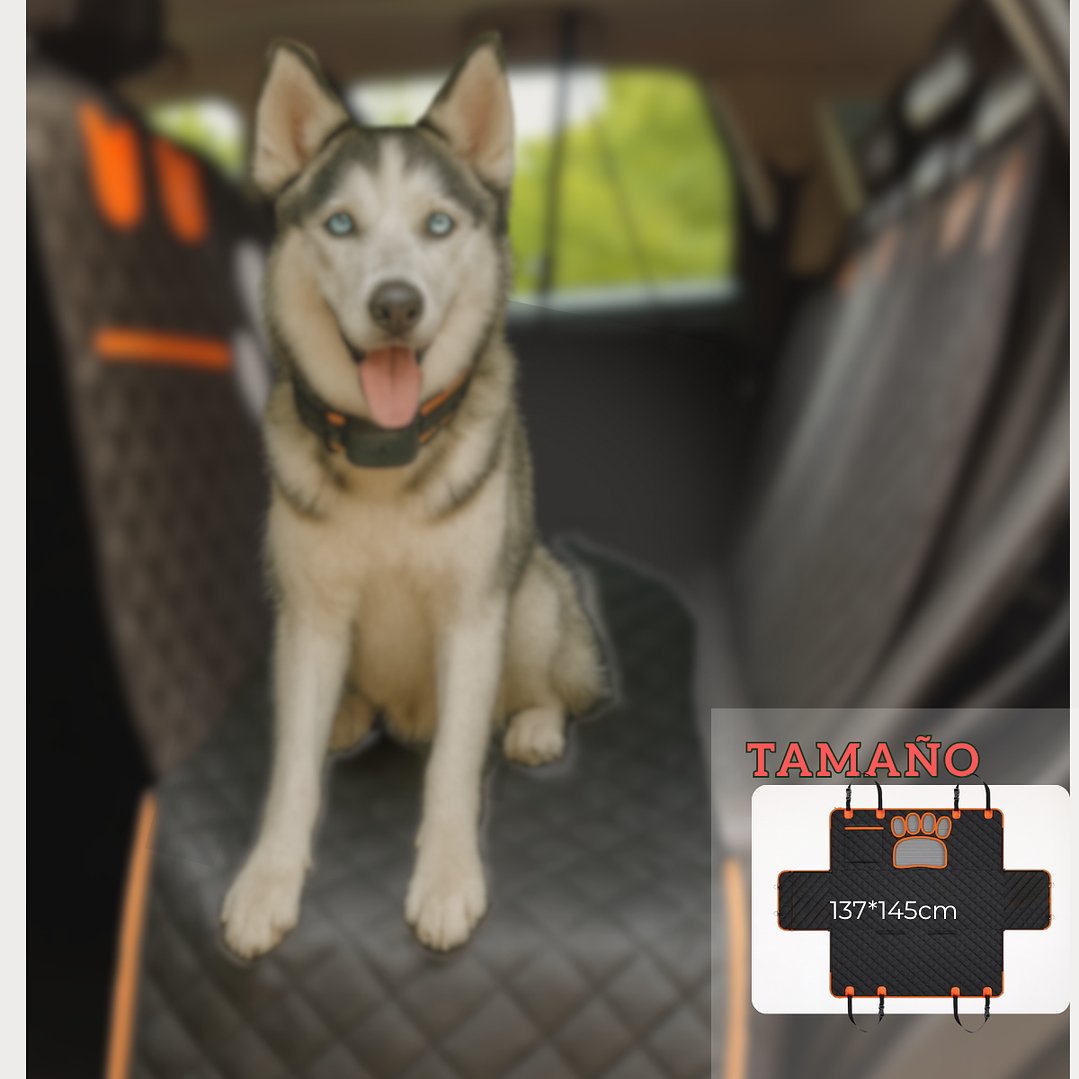 🛡️ “ProtegeCar 🐕 2