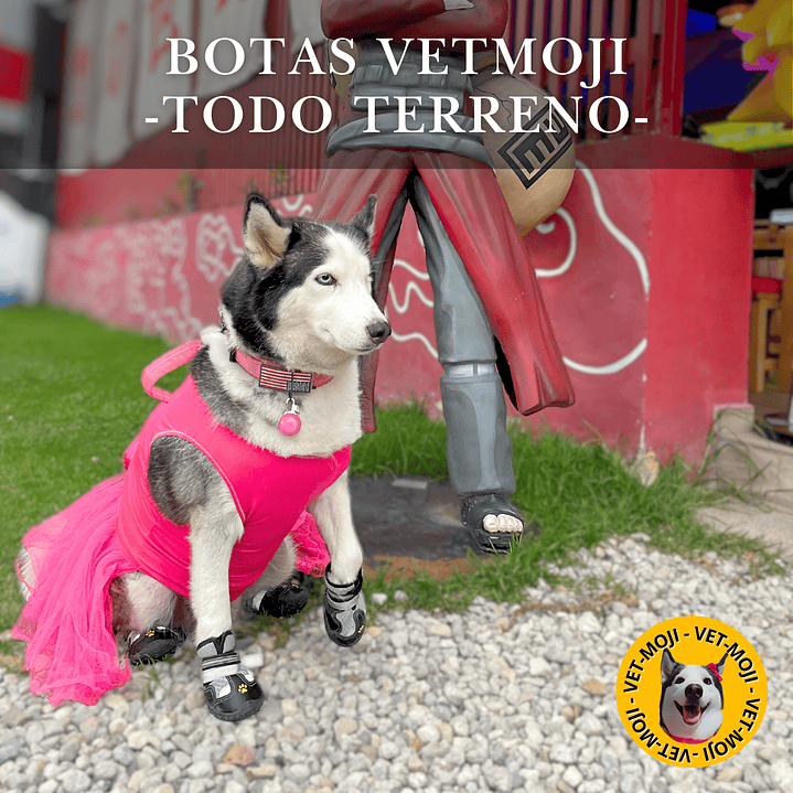 Botas - Zapatos Vet moji 1