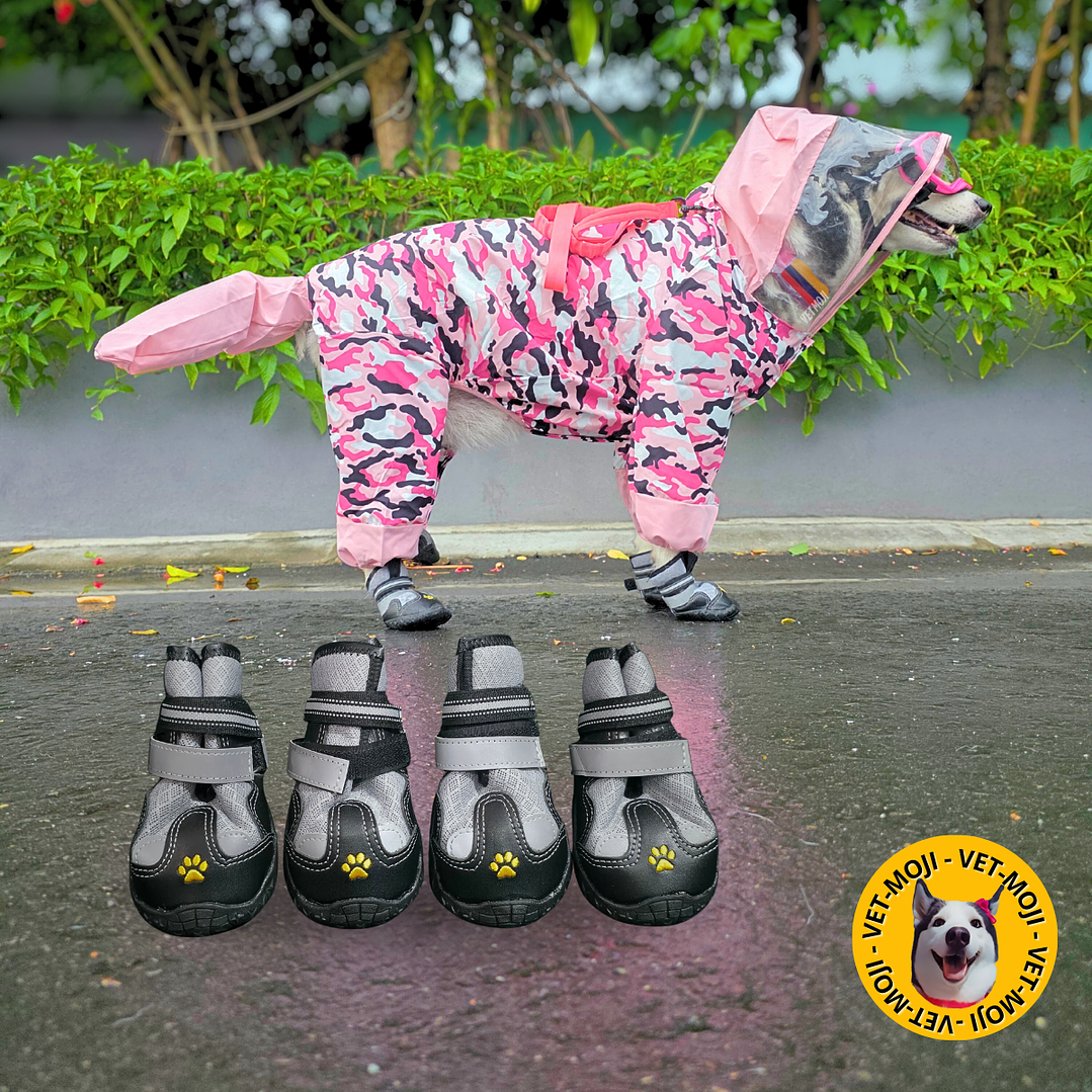 Botas - Zapatos Vet moji 2