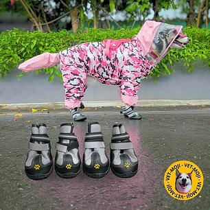 Botas - Zapatos Vet moji