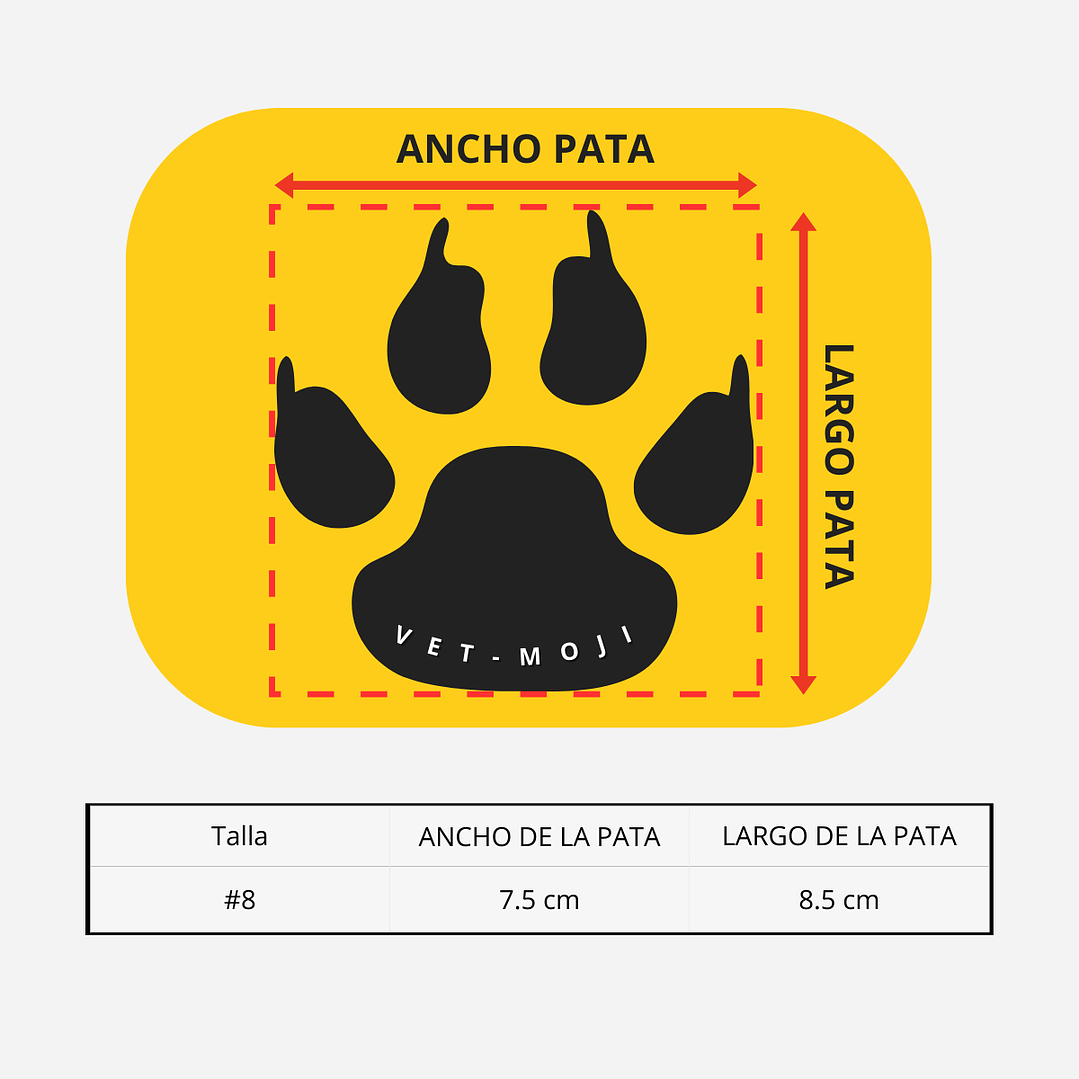 Botas - Zapatos Vet moji 3