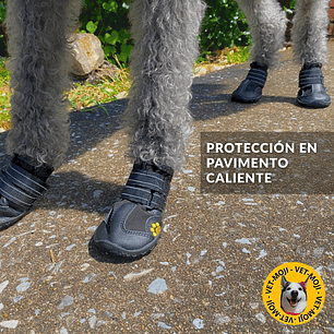 Zapatos: Raza grande 