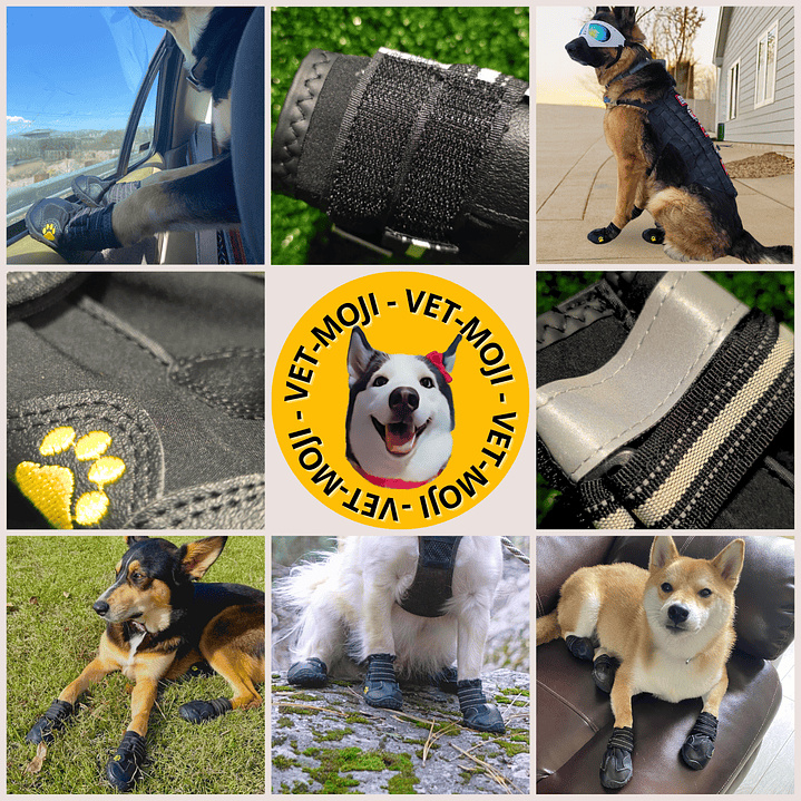 Zapatos: Raza grande  3