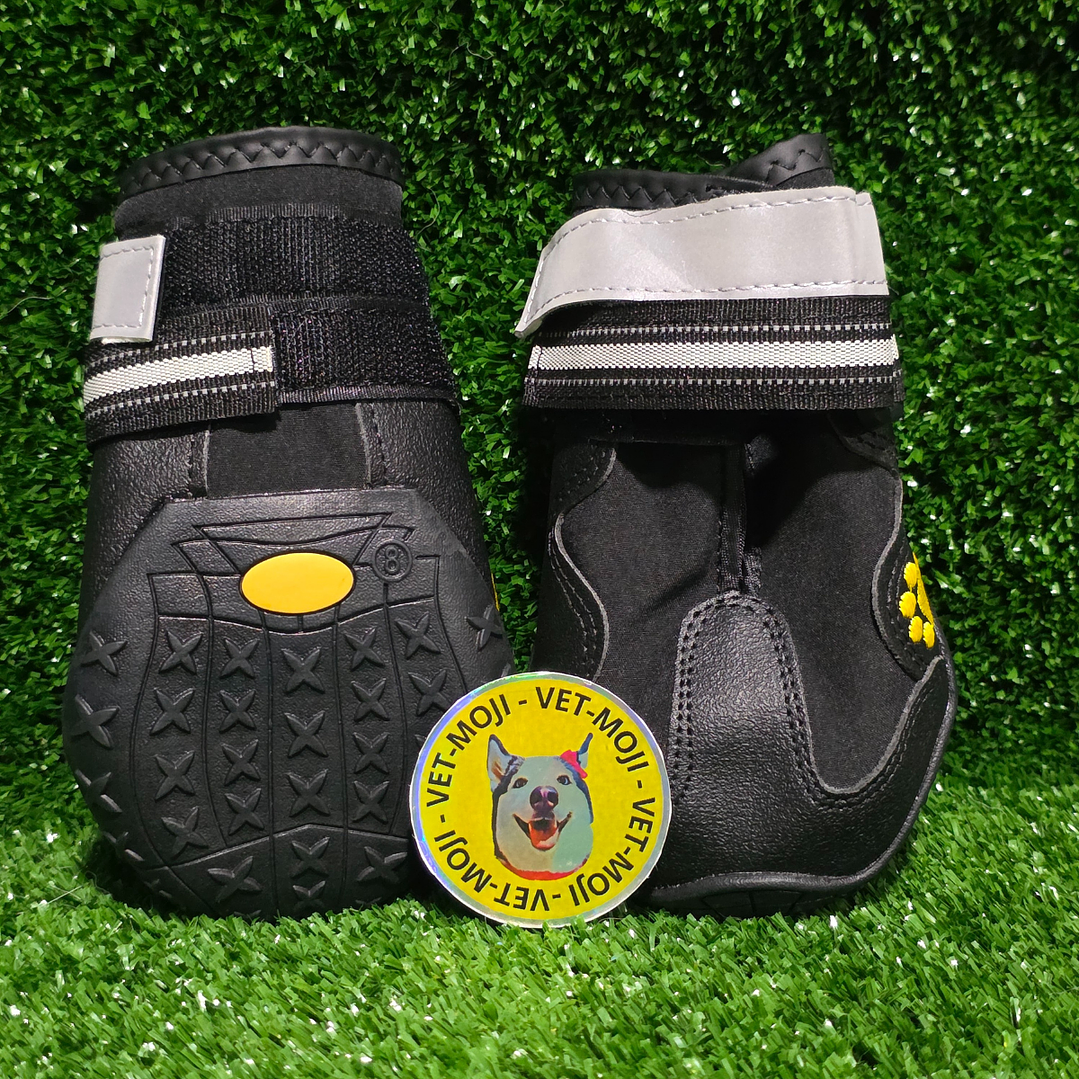 Zapatos: Raza grande  5