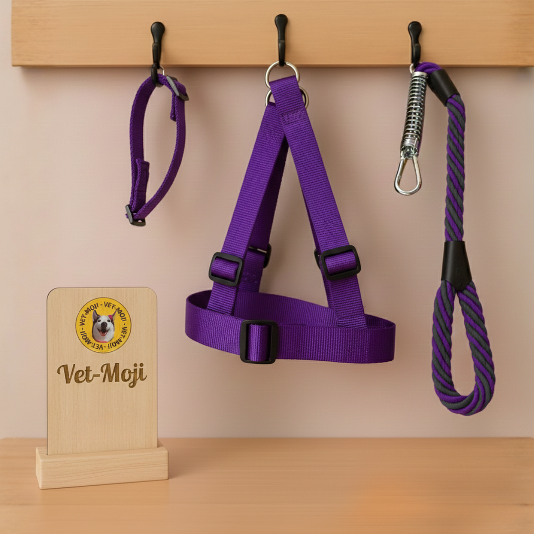 Conjunto para perro Mediano - Grande  2