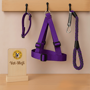 Conjunto para perro Mediano - Grande 